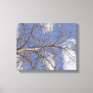 Die prächtige Indiana-Platane Leinwanddruck