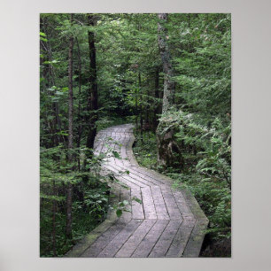 "Die Promenaden-" Plakat