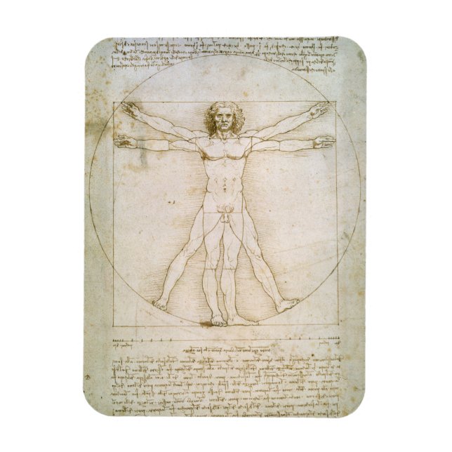 Die Proportionen der menschlichen Figur Magnet (Vertikal)