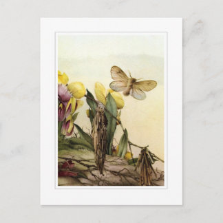 Die Psyche Postkarte