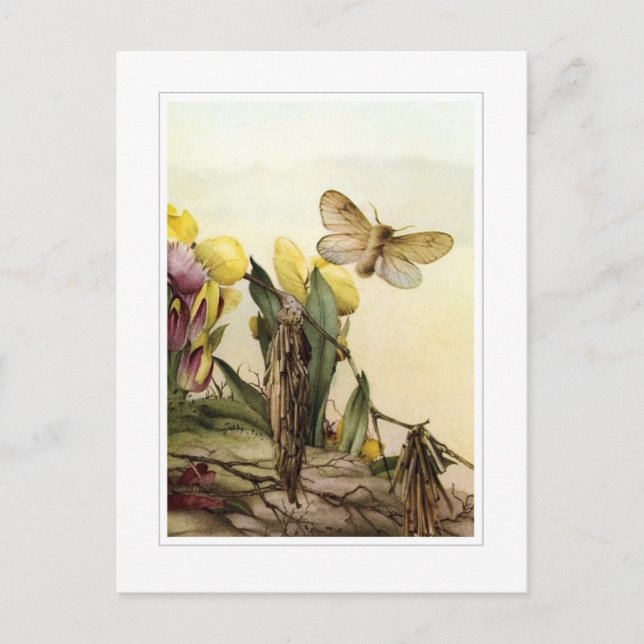 Die Psyche Postkarte (Vorderseite)