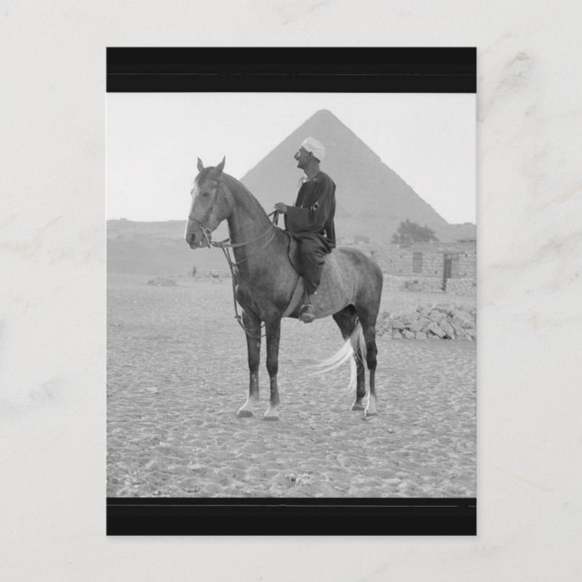 Die Pyramiden von Gizeh mit Reiter um 1934 Postkarte (Vorderseite)