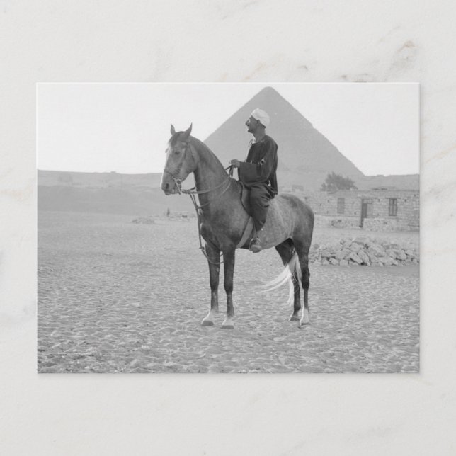 Die Pyramiden von Gizeh mit Reiter um 1934 Postkarte (Vorderseite)