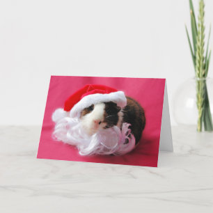 Die Quäkchen der Saison! Weihnachtskarte Feiertagskarte