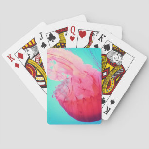 Die Qualle  Spielkarten