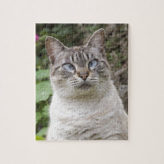 Die quere mit Augen Katze Puzzle