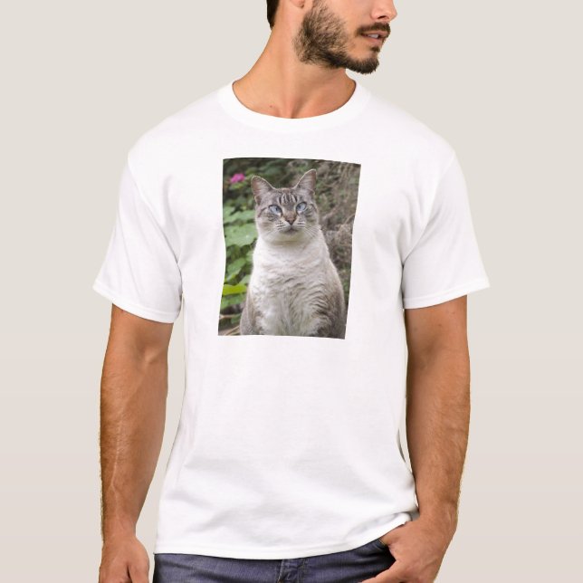 Die quere mit Augen Katze T-Shirt (Vorderseite)