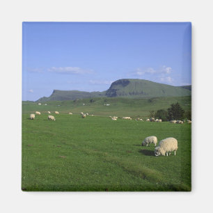 Die Quiraing-Berge, Insel Skye, Highlands, Magnet