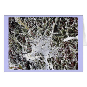 Die Rede des Titanias