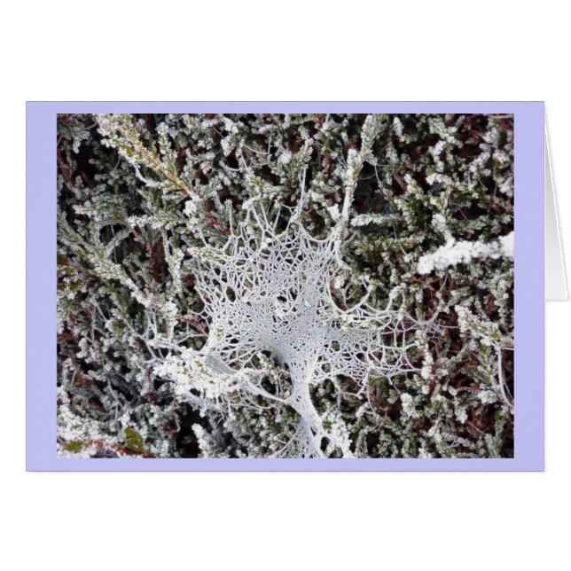 Die Rede des Titanias (Vorderseite (Horizontal))