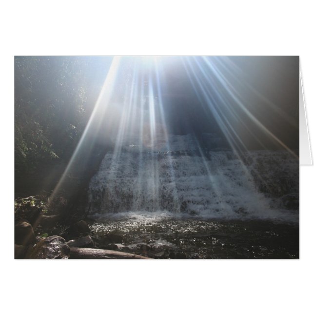 DIE REDREAMING. (Vorderseite (Horizontal))