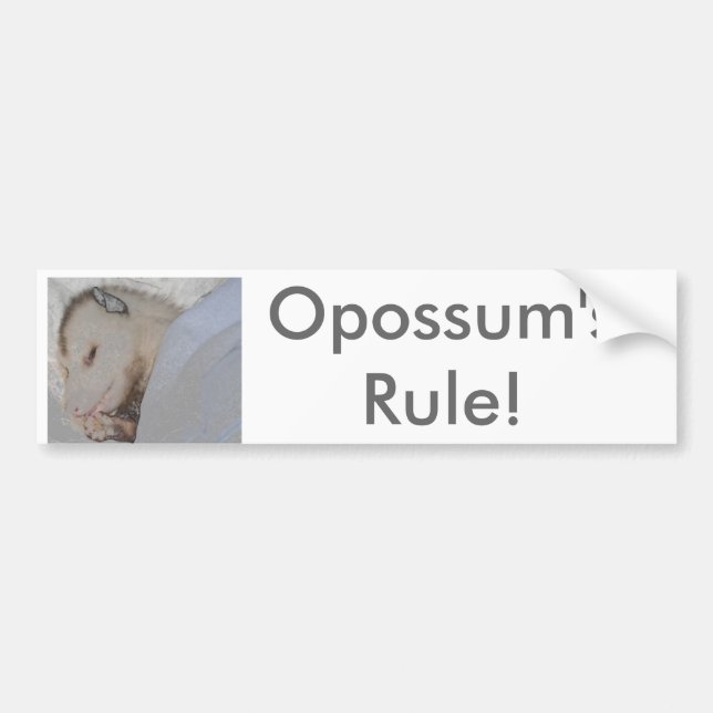 Die Regel des Opossums! Autoaufkleber (Vorne)