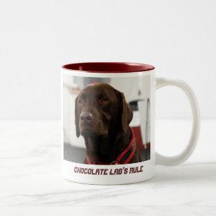 Die Regel des Schokoladen-Labradors Zweifarbige Tasse