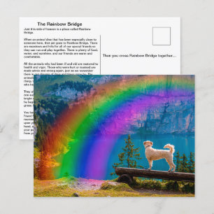 Die Regenbogenbrücke Gedicht, In Erinnerung an ein Postkarte