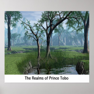 Die Reiche des Prinzen Tobo Poster
