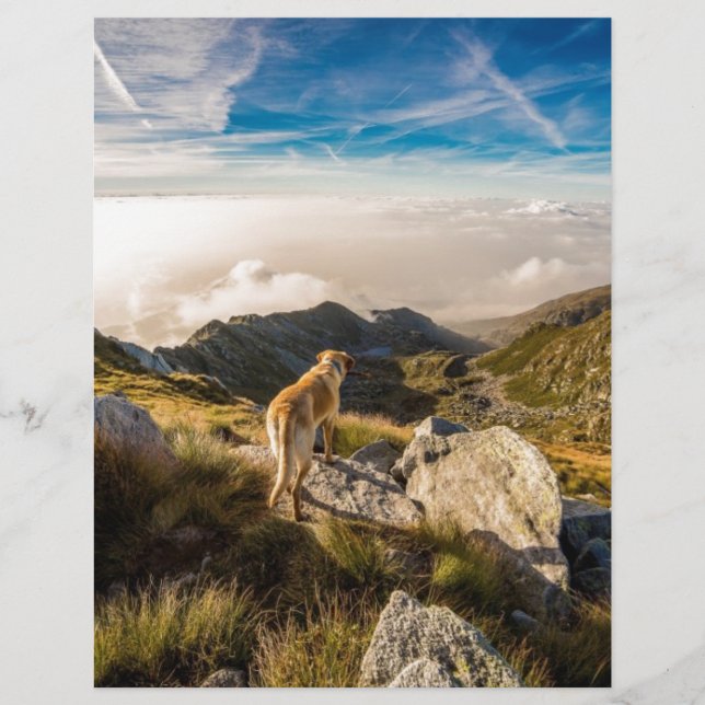 Die Reise (Vorderseite)