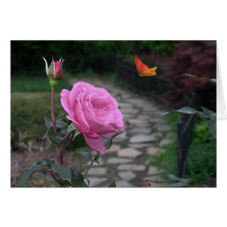 Die Reise 2