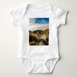 Die Reise Baby Strampler