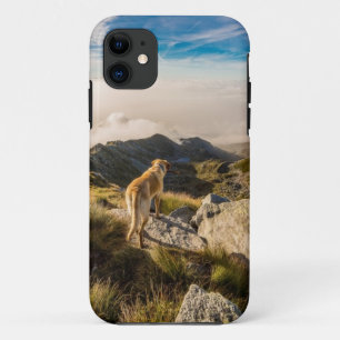 Die Reise Case-Mate iPhone Hülle