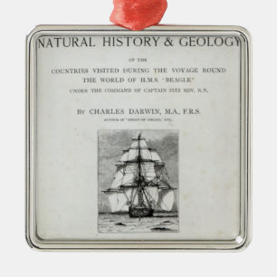 Die Reise des Beagles Silbernes Ornament
