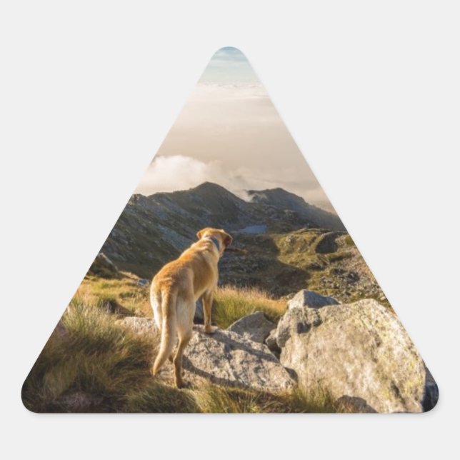 Die Reise Dreieckiger Aufkleber (Vorderseite)