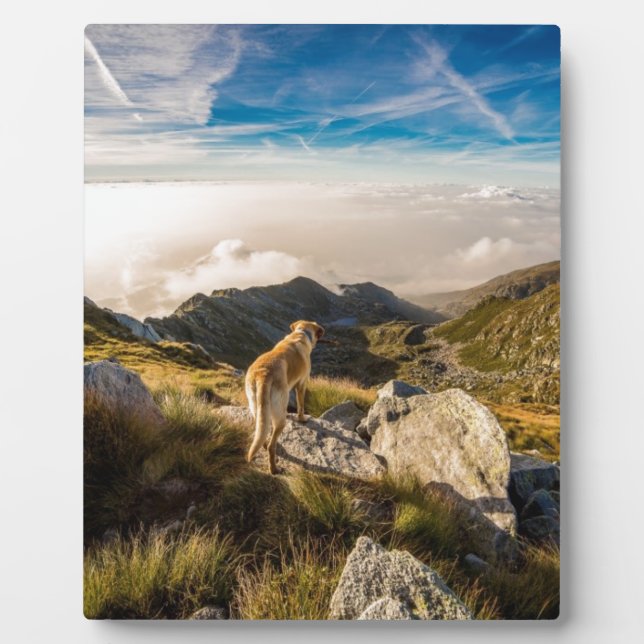 Die Reise Fotoplatte (Vorderseite)