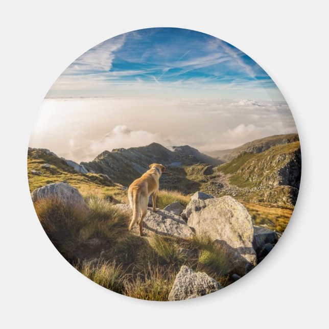 Die Reise Magnet (Vorne)