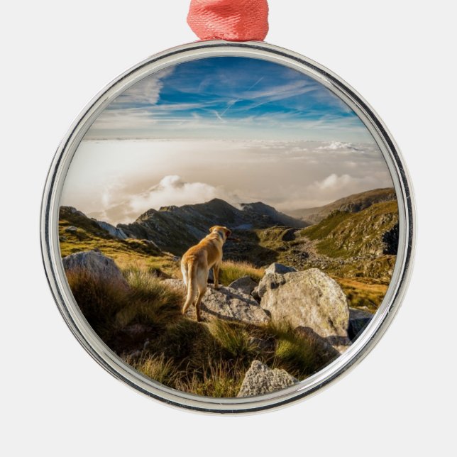 Die Reise Ornament Aus Metall (Vorne)