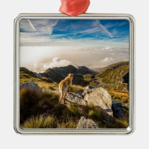 Die Reise Silbernes Ornament