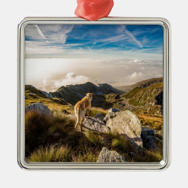 Die Reise Silbernes Ornament (Vorne)