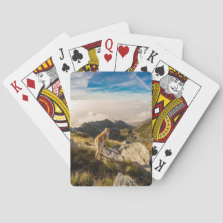 Die Reise Spielkarten