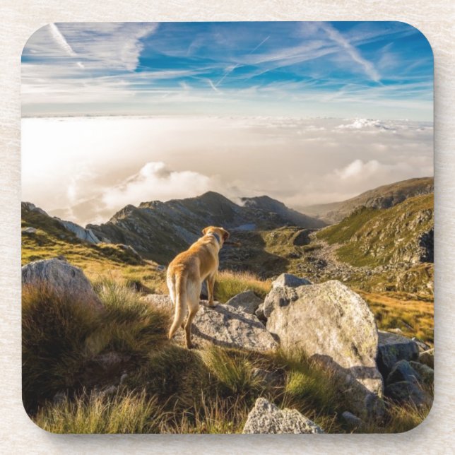 Die Reise Untersetzer (Vorderseite)