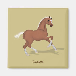 Die Reiter der Sorrel Foal Gaits Magnet