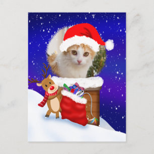 Die Rentiermaschine Cat Santa Rooftop mit Geschenk Postkarte
