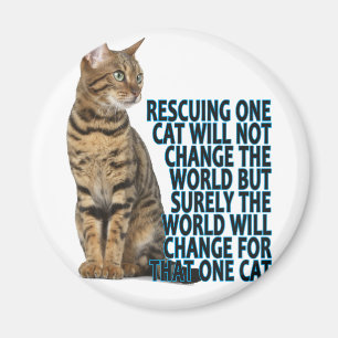 DIE RETTUNG VON VON EINEM CAT ÄNDERT NICHT DIE MAGNET