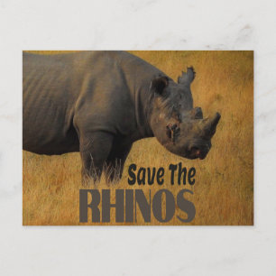 Die Rhinos gerettet Postkarte