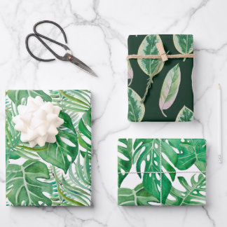 Die riesigen Blätter von Palmen und Monstera