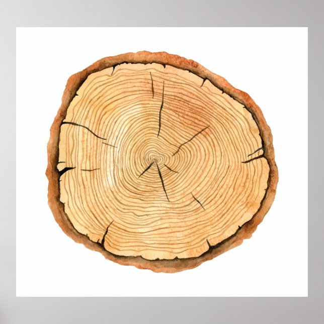 Die Ringe der Natur: Triumph der Baumtextur Poster (Vorne)