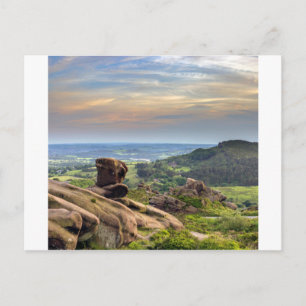 Die Roaches Postkarte