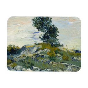 Die Rocks Vincent van Gogh Magnet