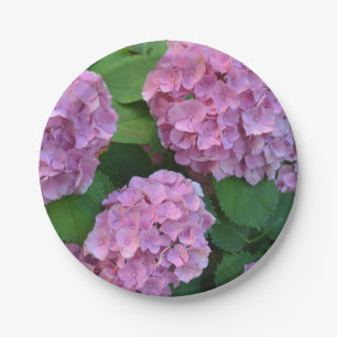 Die rosa Hortensia-Hydrangea Pappteller