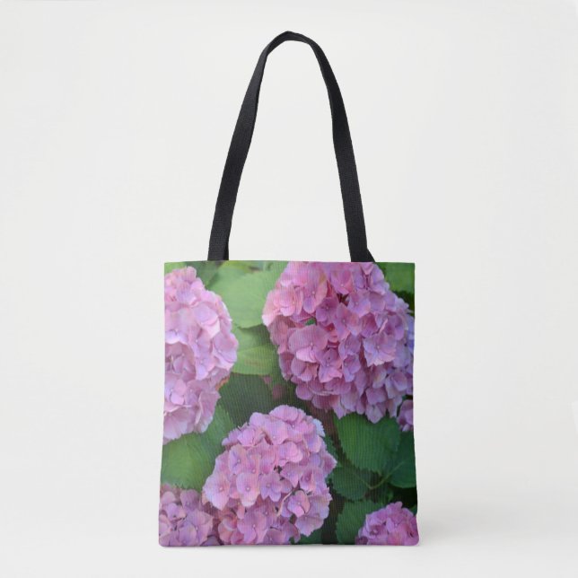 Die rosa Hortensie Hydrangea  (Vorderseite)