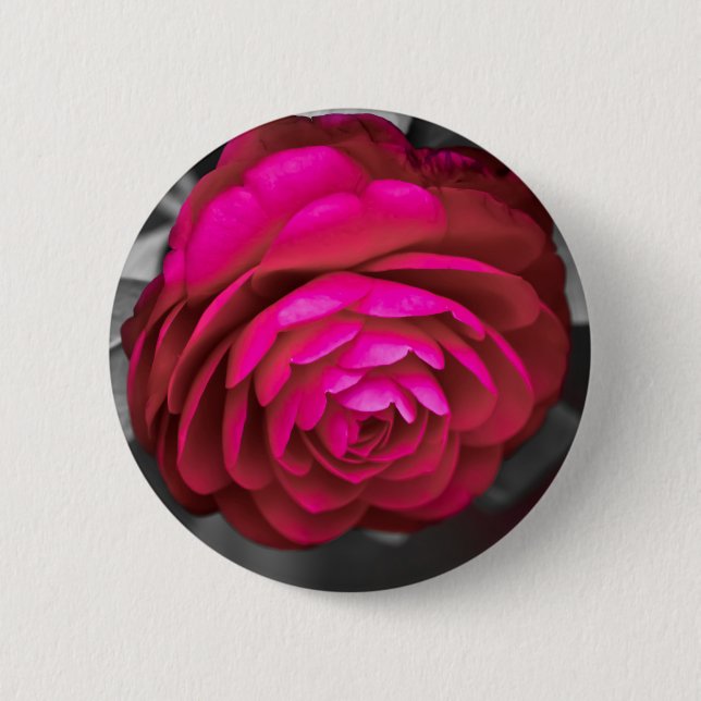 Die rosafarbene Kamelie Button (Vorderseite)