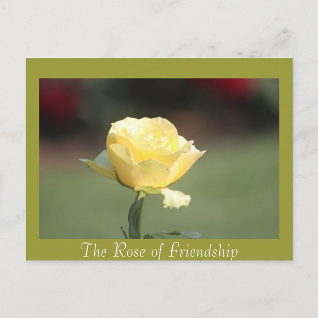 Die Rose der Freundschaft Postkarte (Vorderseite)
