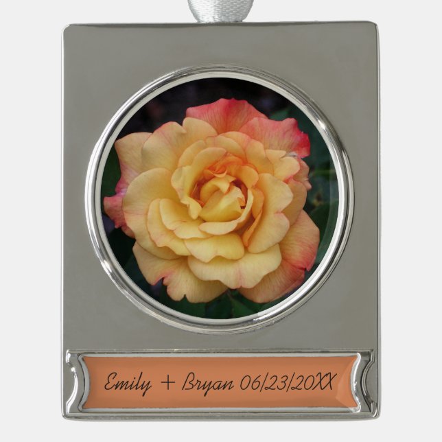 Die Rose ist schön rosa und gelb Banner-Ornament Silber (Vorderseite)