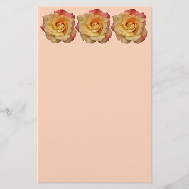 Die Rose ist schön rosa und gelb Briefpapier (Vorderseite)