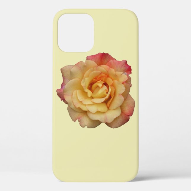 Die Rose ist schön rosa und gelb Case-Mate iPhone Hülle (Rückseite)