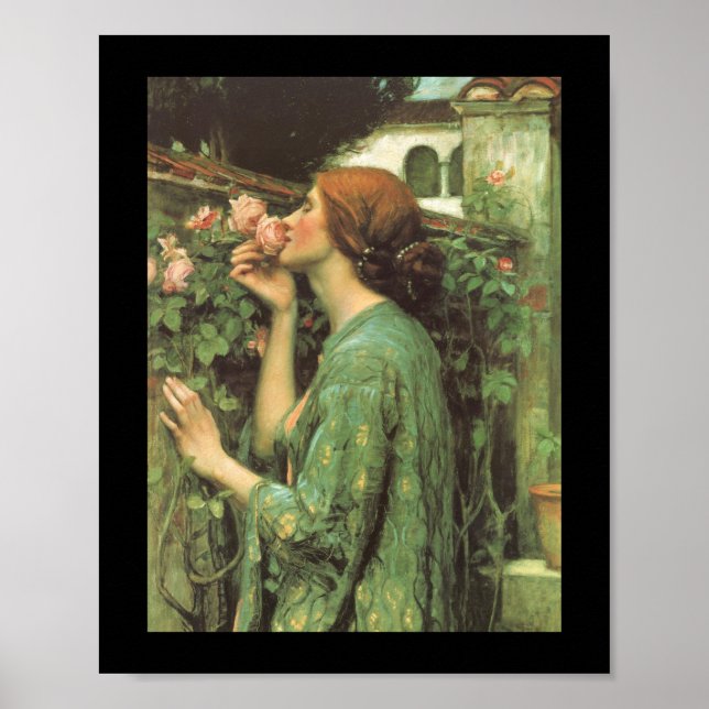 Die Rose Poster (Vorne)