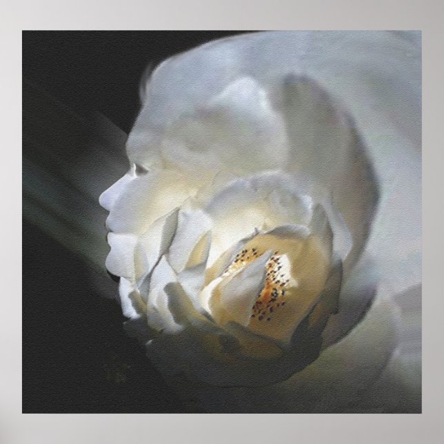 Die Rose Poster (Vorne)