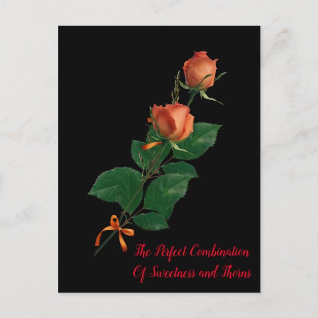 Die Rose Postkarte (Vorderseite)